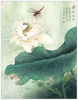 Kitajski beli lotus dragonfly pokrajina olje slikarsko platno, saj je natisnjena na platno začetni wall art okras sliko