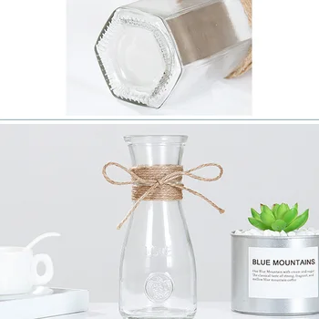 Nordijska Steklene Vaze, Dnevna Soba Namizni Dekor Vode Hydroponics DIY Steklenico Cvetlični Lončki Suho Vaze Doma Morden Dekoracijo