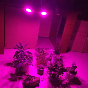 3 glavo Zaprtih Hydroponics led grow light rastlin svetilke za notranjo sobo šotor hydro cultivo toplogrednih raste lučka