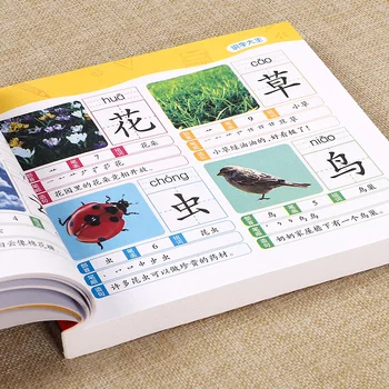 1280 Besede Kitajski Knjige Učijo Kitajski Prvem Razredu učna Gradiva Kitajskih znakov slikanica