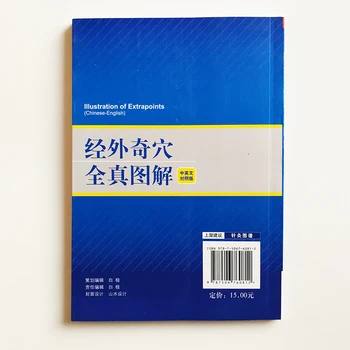 Ilustracija Extrapoints (Kitajsko-angleška Različica) Kitajski Tradicionalni Medicini Dvojezični Akupunktura Knjigo Kitajske Medicine