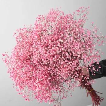 Naravno Sveže Posušene Konzervirane Cvetje Gypsophila paniculata,Otroška Dih Cvet šopke darilo za Poročno Dekoracijo,Valentines