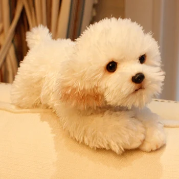Ljubka mehka živali malteški pes plišastih igrač kakovosti polnjene leži živali, hišne živali, psi lutka baby darilo 35x12x14cm