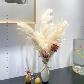 60 cm 5/10pcs Pampe, Bež barve Perja Poročno Dekoracijo Cvet Velike Puhasto Naravnih Resnično Posušena Pampe Debelo