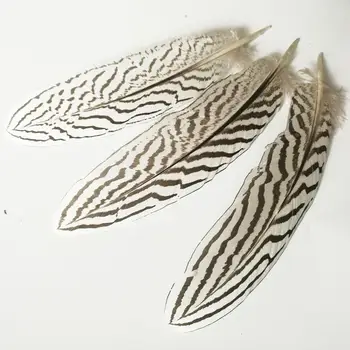 Debelo 50pcs/veliko srebrno fazan pero piščanec pero/pav pero/noj pero za millinery /pokrivala 18-25 cm