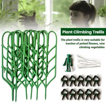 Vrt Trellis Plezalne Rastline Plastičnih Trellis Stackable Listov Obliko Mini Plezanje Rastlin Deležev Cvet Pot Podporo Za Uporabo V Zaprtih Prostorih