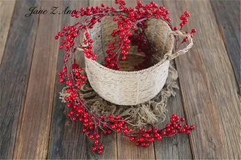 Božič trto dolgo trto berry cvetje za dekoracijo doma zapusti otroka fotografija, fotografiranje novorojenčka