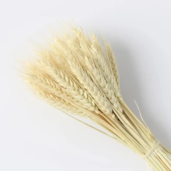 100 kozarcev/veliko Pšenice, Jeseni Dekoracijo Pampe Travo Obrti Cvetovi Posušene Rože za Poročno Dekoracijo Pšenice Umetne Rastline
