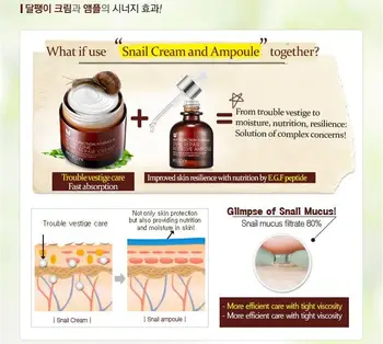 MIZON Polž Popravila Intenzivno Ampul Vzorec 20pcs serum za Učvrstitev Svetlobo Občutljiv Vlažilne Pozno Ponoči Bistvo Koreja Kozmetika
