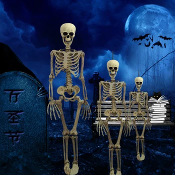 Halloween Prop Okostje Polni Velikosti Kosti Lobanje Strani Veren Človeško Telo Poseable Anatomija Model Stranka Festival Dekoracijo