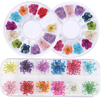 2 Škatle 3D Posušen Cvet Nohtov Dekoracijo Naravni Cvetlični Nalepke Mešano Suho Flower Nail Art Decals UV Gel lak Manikura Orodja