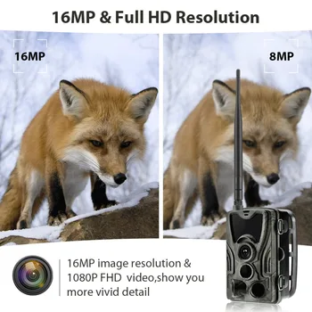Mobilna Lovske Kamere Wildlife Ir 2G MMS SMTP Foto Past Brezžični Nadzor HC801M 16MP 1080P Night Vision