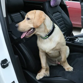 Pes Avtomobilski Sedež Mat Anti-Umazano Nepremočljiva Anti-Scratch Hišne Potrebščine Co-Pilot Nazaj Pet Sedež Pad Zajema Zaščitnik