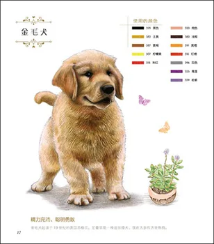 Super čudovit pes/Odrasli, Otroci, Otroci Lajšanje Stresa odraslih Kolorit Knjige