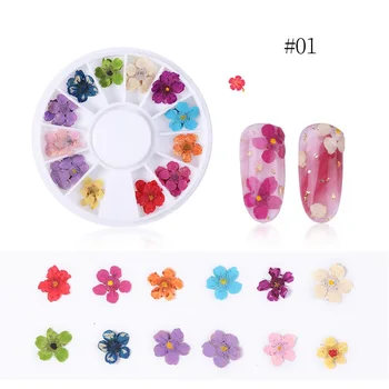 2 Škatle 3D Posušen Cvet Nohtov Dekoracijo Naravni Cvetlični Nalepke Mešano Suho Flower Nail Art Decals UV Gel lak Manikura Orodja