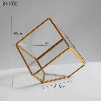 NOOLIM Obroč Polje Namizni Sočne Elektrarne Mikro Krajine Terarija Bonsaj Polyhedron prozornega Stekla Geometrični Nakit Škatla za Shranjevanje