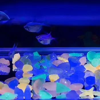 50pcs Pisane Sijoča Zvezda Conch Lupini Oblikovan Žareče Kamenje, ki se Sveti V temi Vrt Aquarium Fish Tank Bazen Krajine