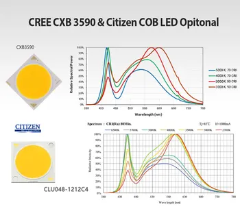 CXB3590 COB LED Grow Light Celoten Spekter 100W 200W Državljan 1212 & CXB3070 DIY Rastlin Raste Lučka za Rastlinjakih Hydroponic Rastlin